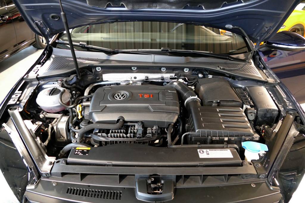 Volkswagen Golf VII GTI Performance 230cv DSG 16