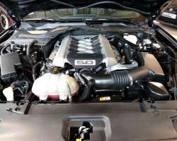 Ford Mustang GT Fastback 5.0 V8 421cv 12
