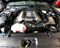 Ford Mustang GT Fastback 5.0 V8 421 BVA6 12