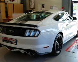 Ford Mustang 2.3 Ecoboost 317cv 14