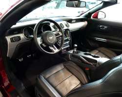 Ford Mustang GT 5.0 V8 421cv Convertible 18
