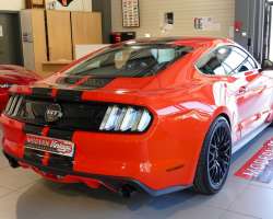 Ford Mustang GT 5.0 V8 Fastback Ecotaxe incluse 15