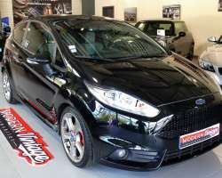 Ford Fiesta ST 1.6 Ecoboost 182cv 15