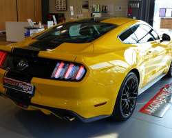 Ford Mustang GT 5.0 V8 Fastback 421cv Ecotaxe Incluse! 15